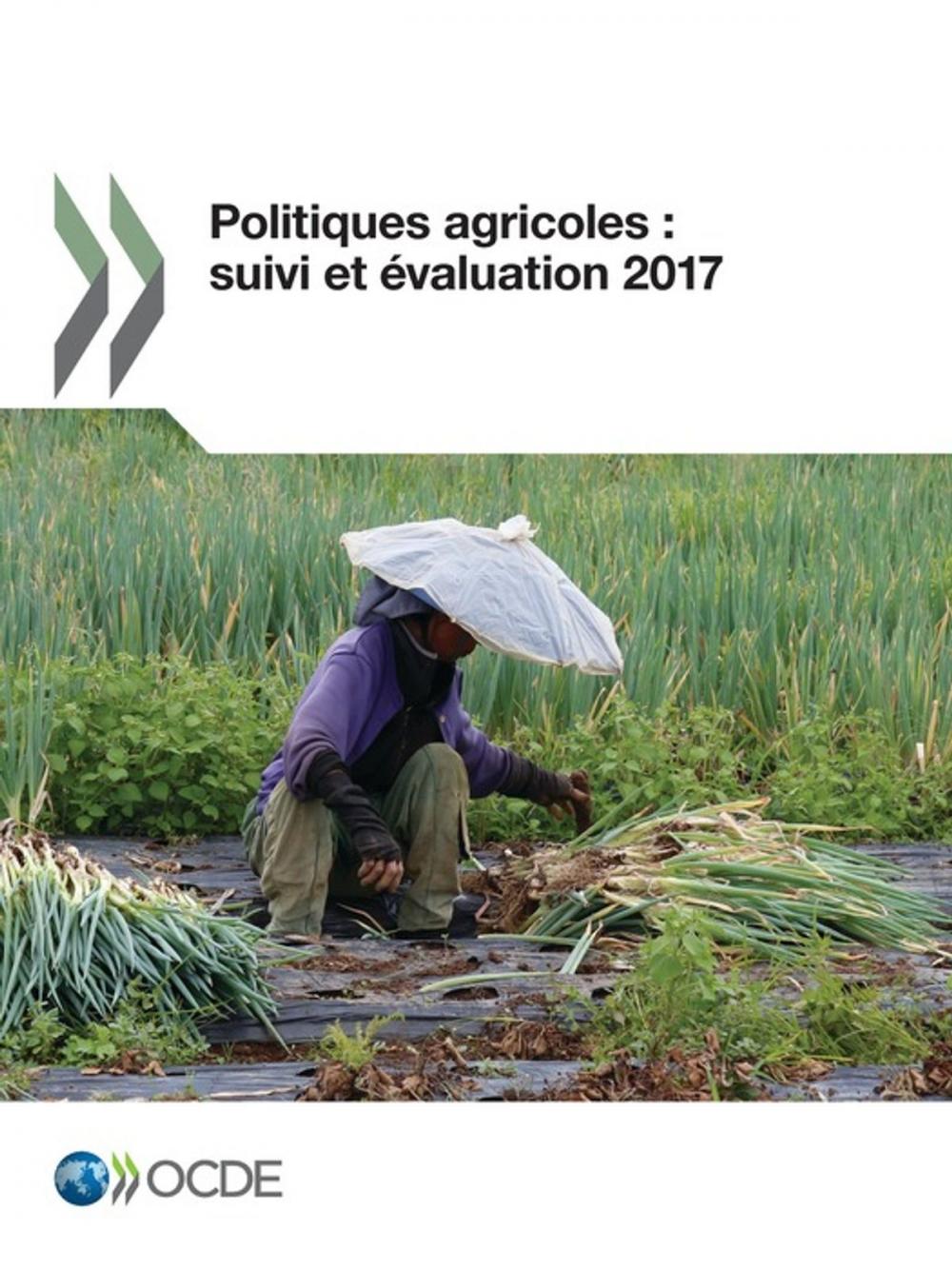 Big bigCover of Politiques agricoles : suivi et évaluation 2017