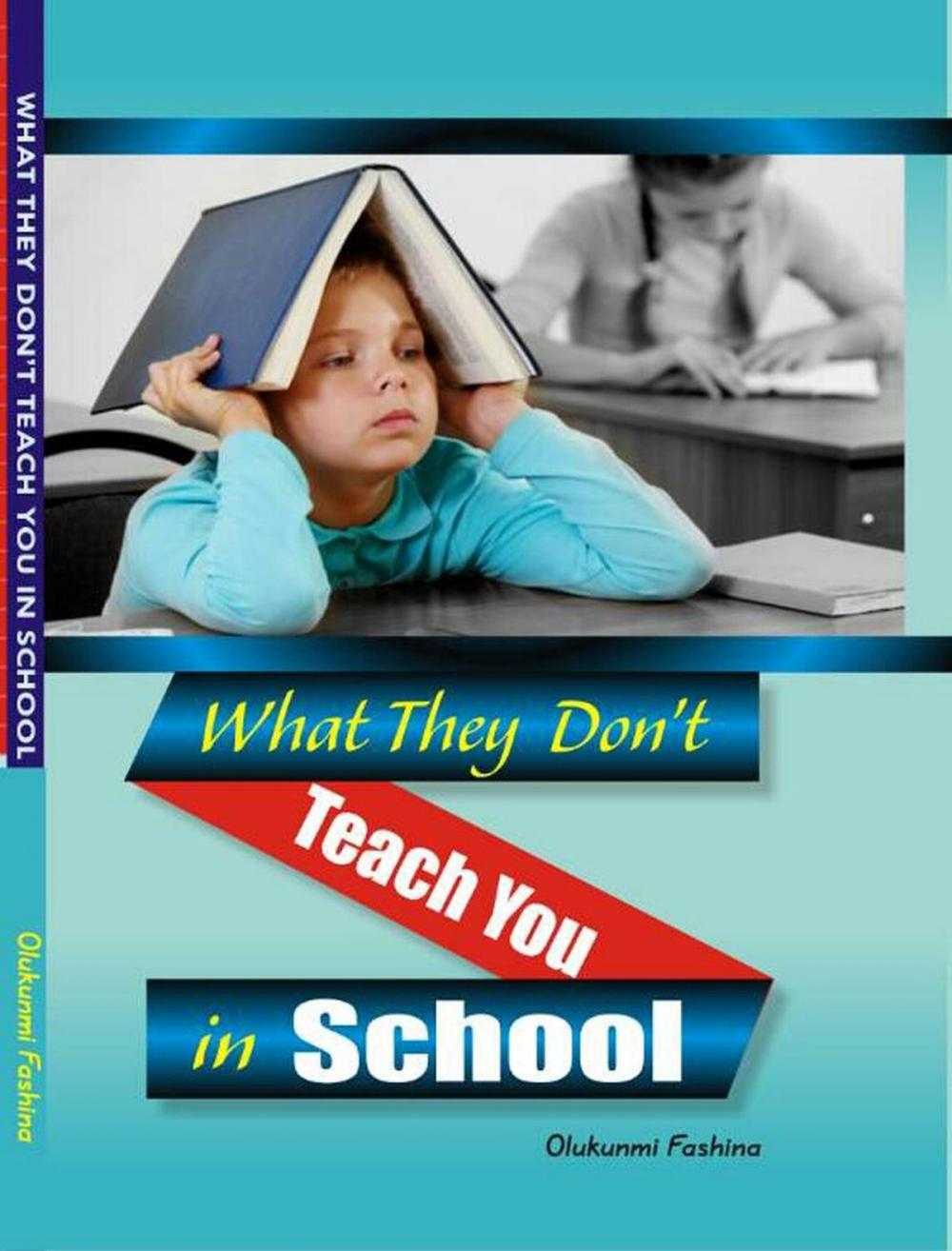 Big bigCover of What They Don't Teach You in School