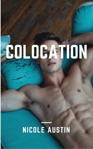 Cover of the book Colocation by ZÉNAÏDE FLEURIOT