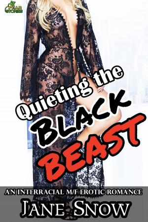 Cover of the book Quieting the Black Beast by Emily Tilton