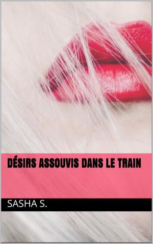 Cover of the book Désirs assouvis dans le train by Stacy Stone