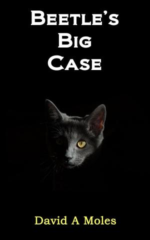 Book cover of Beetle's Big Case