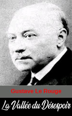 Cover of the book La Vallée du Désespoir by Charles Schiman