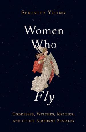 Cover of the book Women Who Fly by Lester M. Salamon