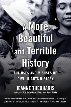 bigCover of the book A More Beautiful and Terrible History by 