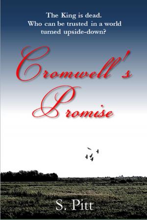 Book cover of Cromwell's Promise