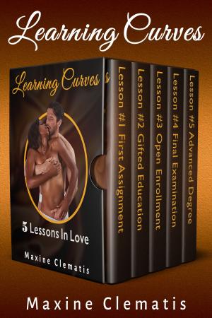 Book cover of Learning Curves: 5 Lessons In Love