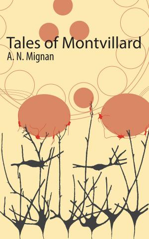 Cover of the book Tales of Montvillard by Jeff Chapman