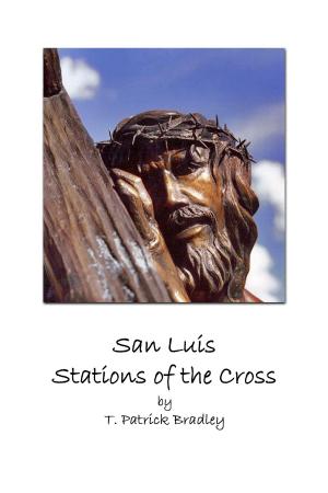 Cover of the book San Luis Stations of the Cross by Vincent Rocha