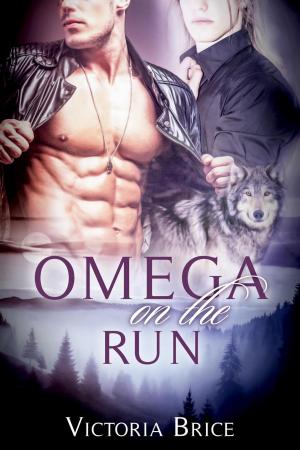 Book cover of Omega on the Run