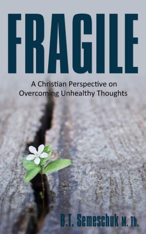 Cover of the book Fragile by Darlene Wall