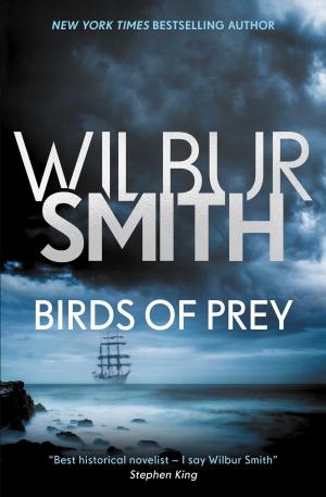 Cover of the book Birds of Prey by J.C. Hulsey