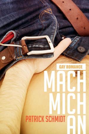 bigCover of the book Mach mich an: Gay Romance by 
