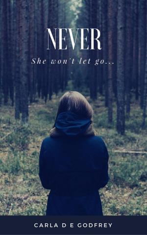 bigCover of the book Never by 