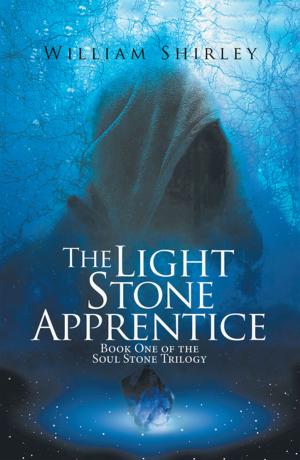Cover of the book The Light Stone Apprentice by Wes Remington