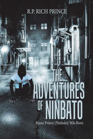 Book cover of The Adventures of Ninbato
