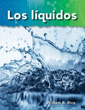 Cover of the book Los líquidos by Roben Alarcon