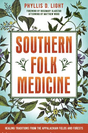 Cover of the book Southern Folk Medicine by Brad Walker