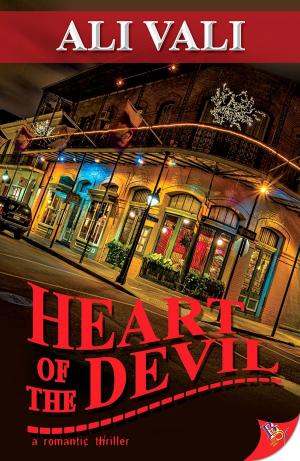 Cover of the book Heart of the Devil by Erin Zak