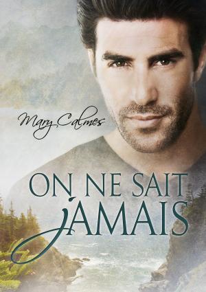 Cover of the book On ne sait jamais by B. Snow