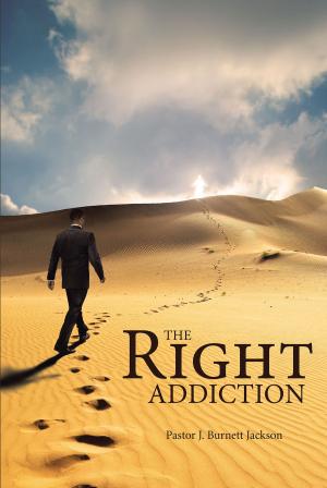 Book cover of The Right Addiction