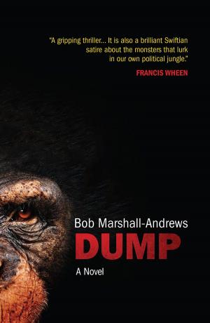 Cover of the book Dump by Nita Marie Clark