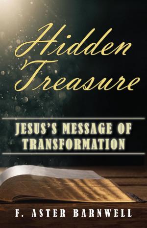 Book cover of HIDDEN TREASURE
