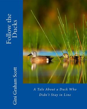 Cover of the book Follow the Ducks by Paul Brakke