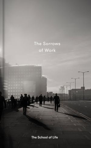Cover of the book The Sorrows of Work by Manu Keirse