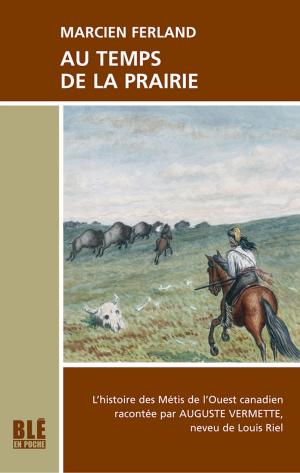 Cover of the book Au temps de la prairie by Simone Chaput