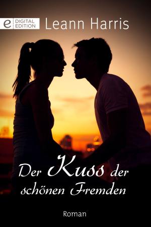 Cover of the book Der Kuss der schönen Fremden by Shine LeFlur