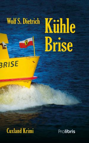 Cover of the book Kühle Brise by Pierre Caron