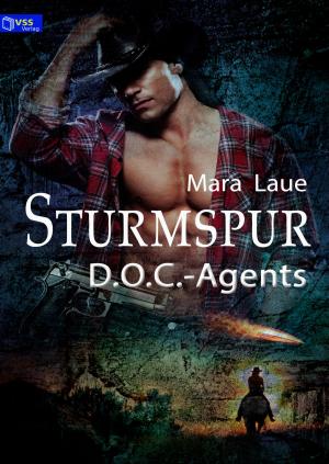 Cover of the book D.O.C.-Agents 3: Sturmspur by Regina Schleheck