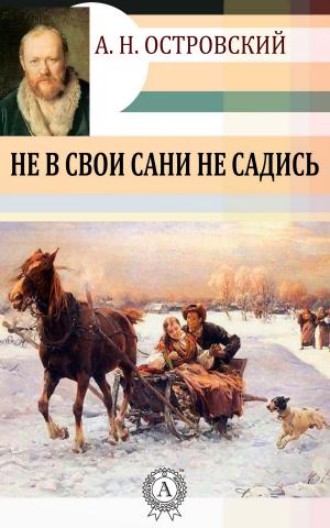 Cover of the book Не в свои сани не садись by Коллектив авторов