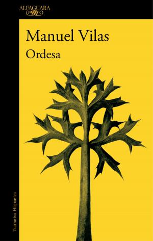 Cover of the book Ordesa by Julio Llamazares