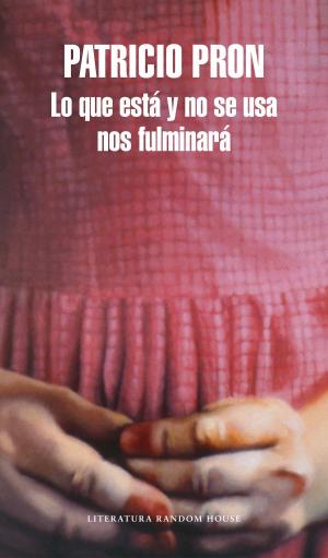 Cover of the book Lo que está y no se usa nos fulminará by Mathias Énard