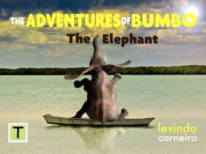 Cover of The Adventures of Bumbo