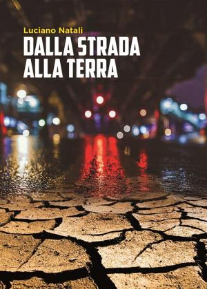 Cover of Dalla strada alla terra