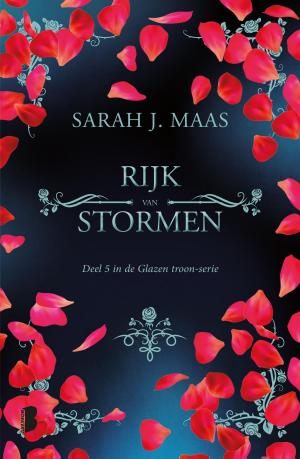 Cover of the book Rijk van stormen by Geoffrey Porter