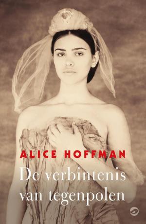 Cover of the book De verbintenis van tegenpolen by Brigitte van Baren, Johannes Witteveen