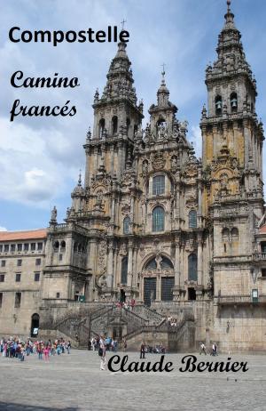 Cover of the book Compostelle - Camino francés by Rhea D. Smith