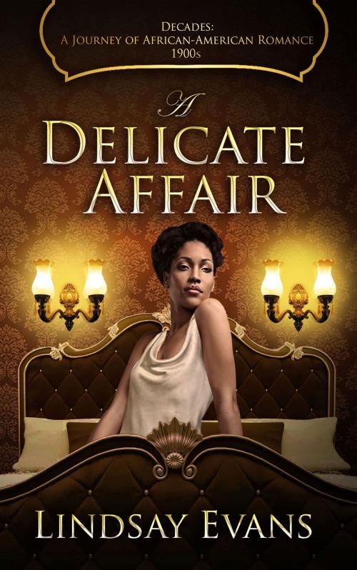 Cover of the book A Delicate Affair by Lindsay Evans, Red Hills Publishing