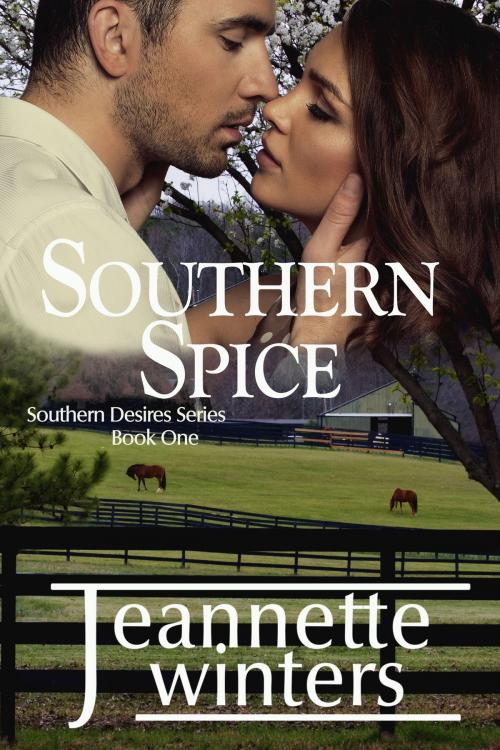 Cover of the book Southern Spice by Jeannette Winters, Jeannette Winters LLC