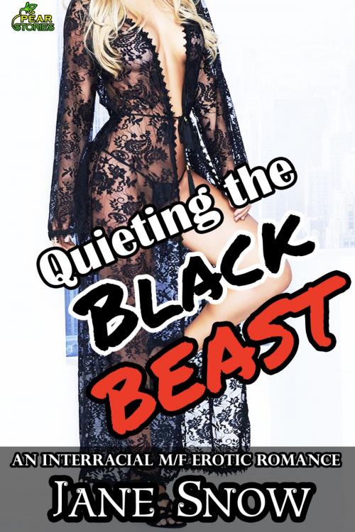 Cover of the book Quieting the Black Beast by Jane Snow, PEAR Stories