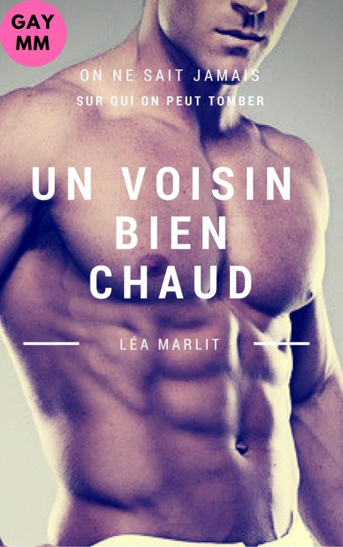 Cover of the book Un voisin chien chaud by Léa Marlit, LM Edition