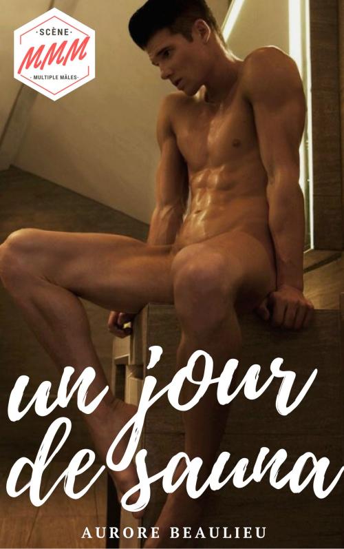 Cover of the book Un jour de sauna by Aurore Beaulieu, AB Edition