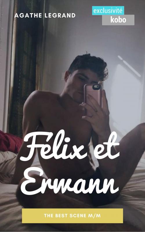 Cover of the book Félix et Erwann by Agathe Legrand, AL Edition