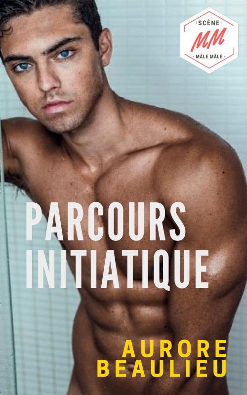 Cover of the book Parcours initiatique by Aurore Beaulieu, AB Edition