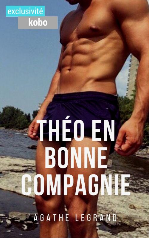 Cover of the book Théo en bonne compagnie by Agathe Legrand, AL Edition