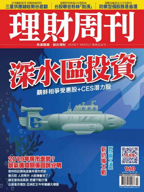 Cover of the book 理財周刊960期：深水區投資 by 理財周刊, 理財周刊